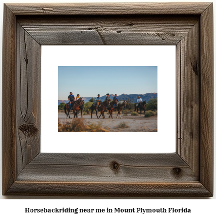 horseback riding near me in Mount Plymouth, Florida